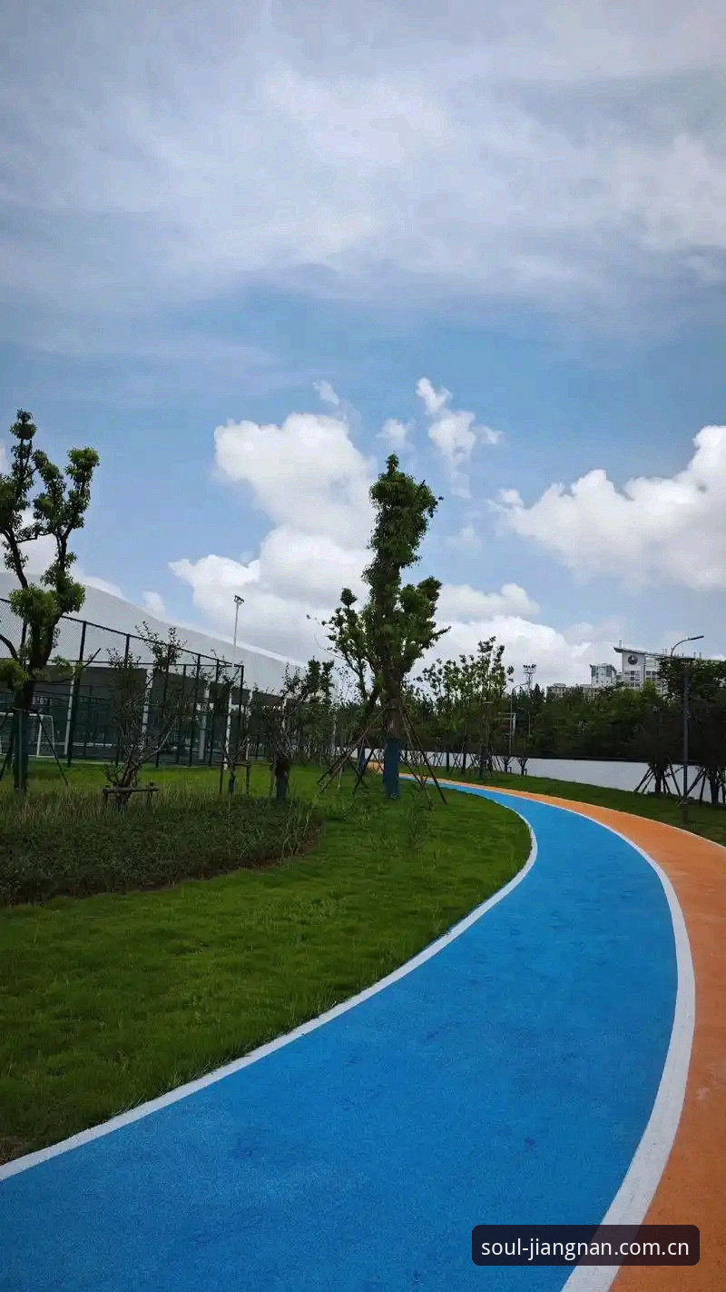 江南体育平台官网深度评测：体育数据入门玩家的真正“新手村”